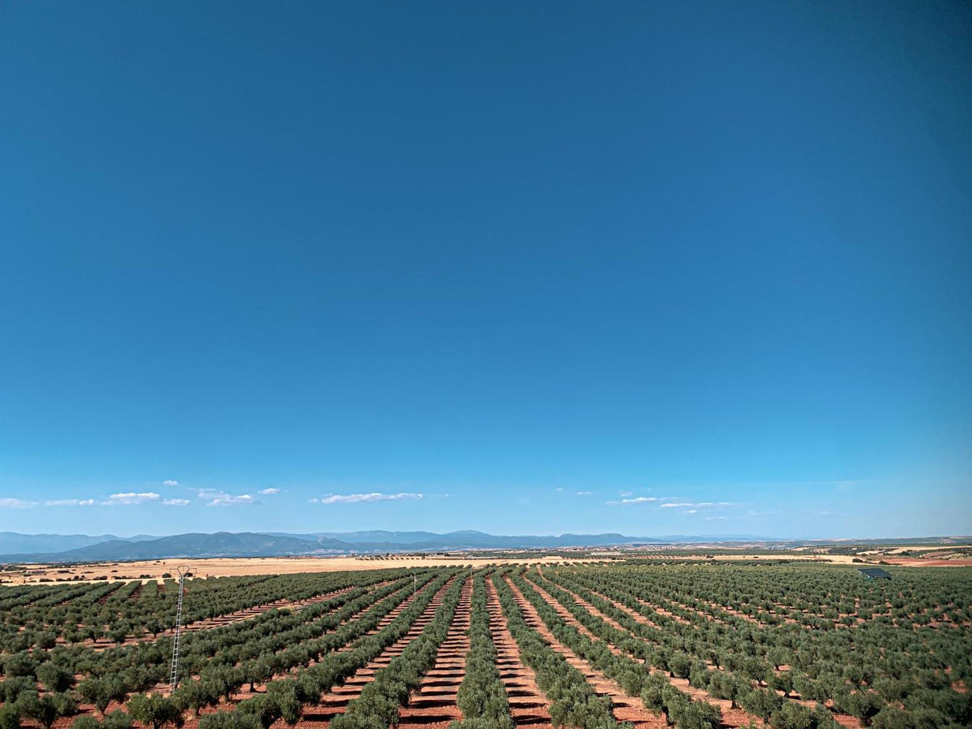 Spa Complejo Rural Las Abiertas San Bartolomé de las Abiertas 部屋 写真